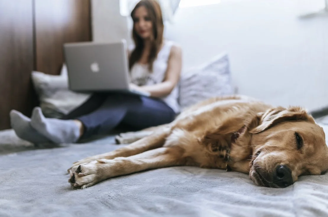 electric smart bed